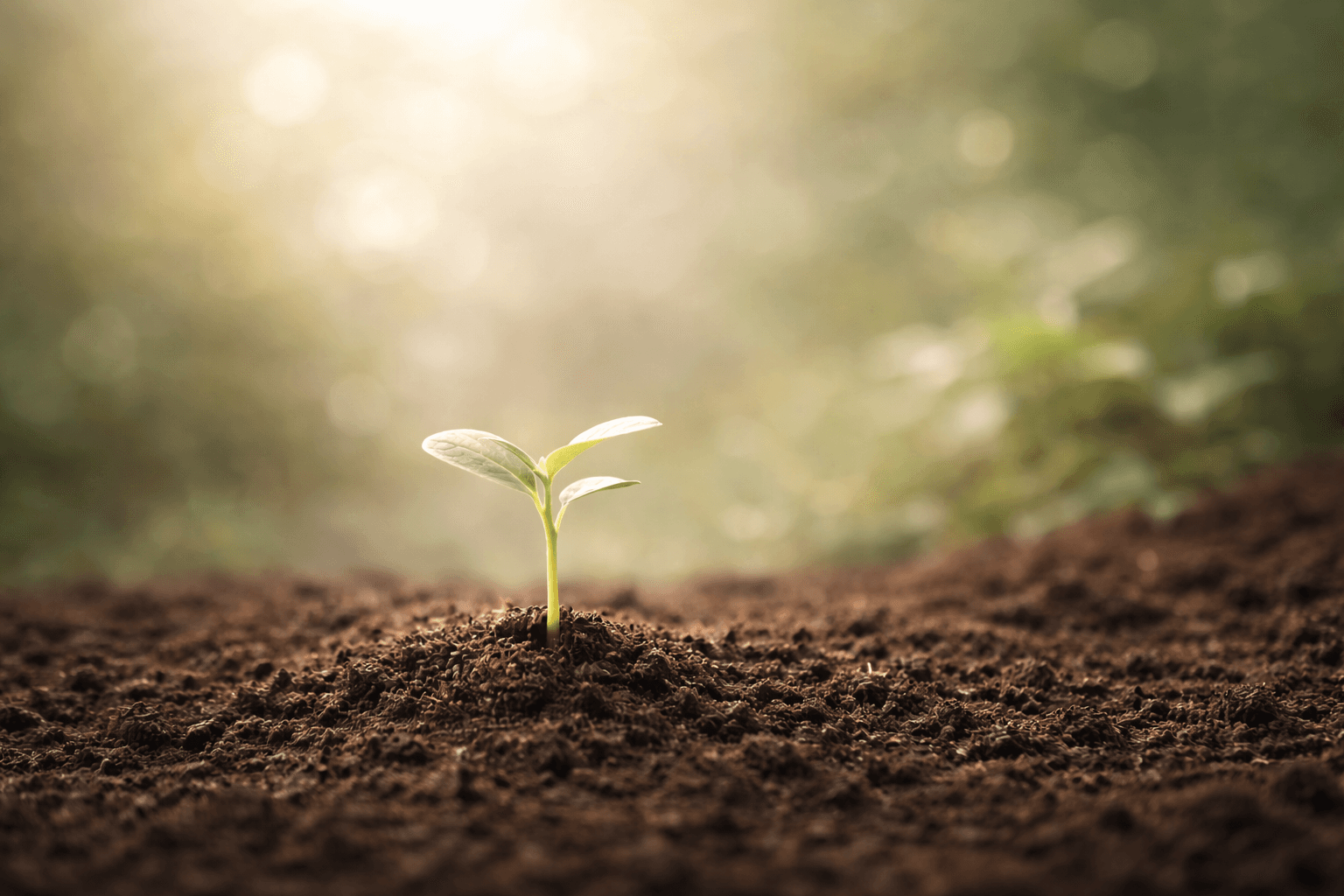 为你，也为这个星球